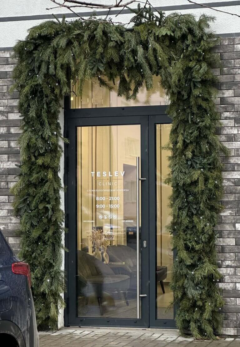 Входная группа Teslev Clinic